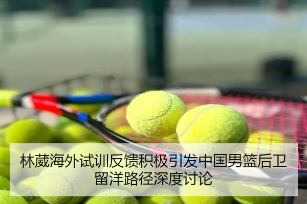 林葳海外试训反馈积极引发中国男篮后卫留洋路径深度讨论