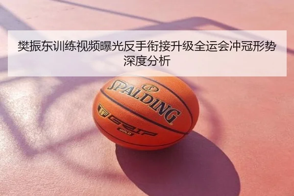 樊振东训练视频曝光反手衔接升级全运会冲冠形势深度分析